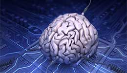 دانشمندان برای اولین بار موفق شدند مغز انسان را به اینترنت متصل کنند