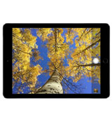 Apple iPad Air 2 Wi-Fi 128GB Black Tablet