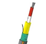 Datwyler 12Core SM Fiber Cable