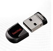 SanDisk Cruzer Fit-16GB Flash Memory