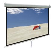 Reflecta 250x250 Overhead and hand-held screen 