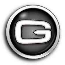کمپانی GAINWARD از تولید کنندگان سخت افزار VGA PHONIX GS عرضه می کند