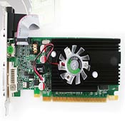 POINT OF VIEW GEFORCE GT610 Graphics Card