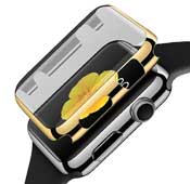 Apple Watch 42mm Bumper Glass