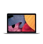 Apple MacBook MJY32 Core M-8GB-256GB-Intel HD with Retina Display Laptop