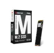 Biostar M700 Hard Disk - 256GB SSD Memory