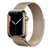 apple Series 7 GPS 45mm Gold Stainless Steel smart watch